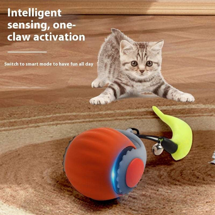 Gravity-Activated Cat Toy Ball – Automatic & Fun Play for Curious Cats