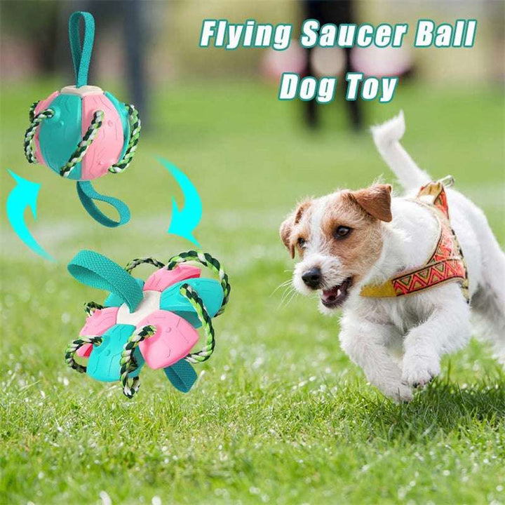Dog Football Toy with Tabs – Durable Outdoor Training Ball for Active Pets