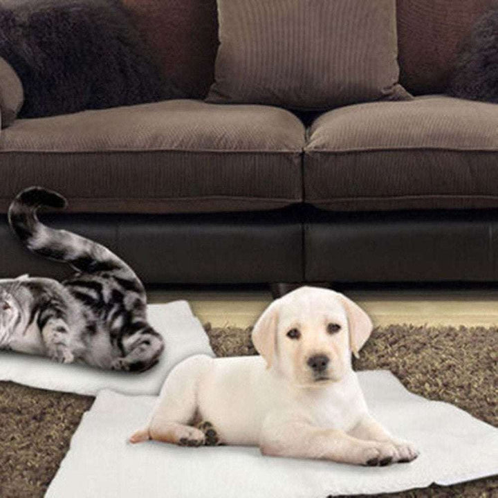 Super Soft Self-Heating Pet Mat – Warm Blanket for Cats & Small Dogs