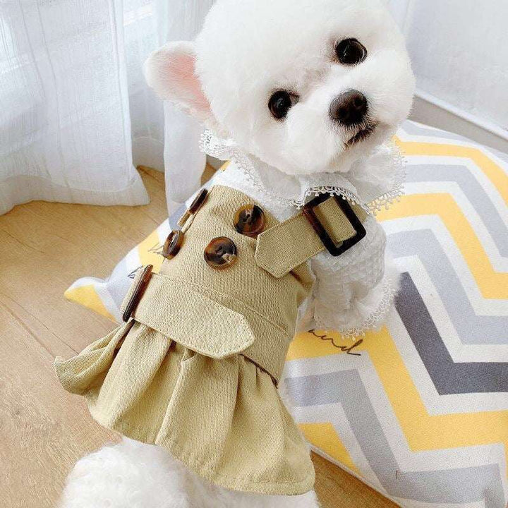 Pet Trench Coat & Skirt Set – Khaki Couple Outfit for Dogs & Cats