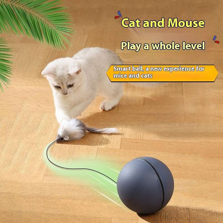 Smart Electric Teaser Ball – Fun Moving Mouse Toy for Cats & Pets