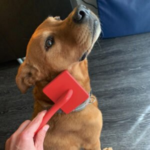 22de5c31 bd8a 48a3 bbd1 98315f4eac3a.jpg